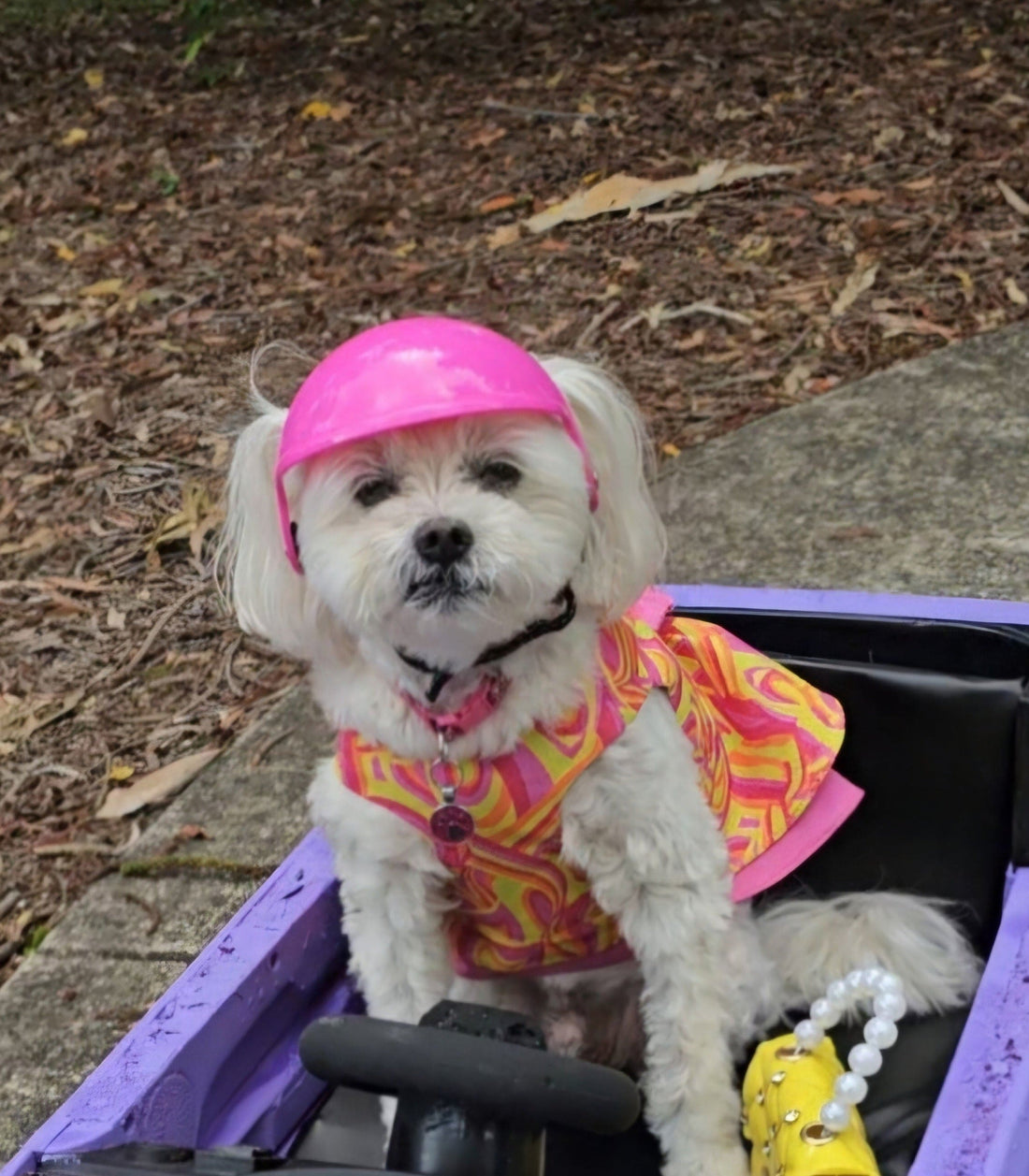 Safety Helmet for Dogs - Pink