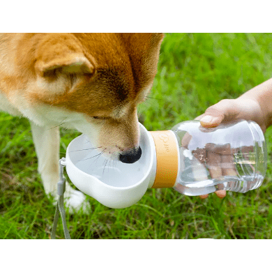 2 in 1 Portable Dog Water Bottle for Walking