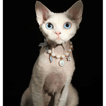 Luxury Pearl Pet Necklace with Charms
