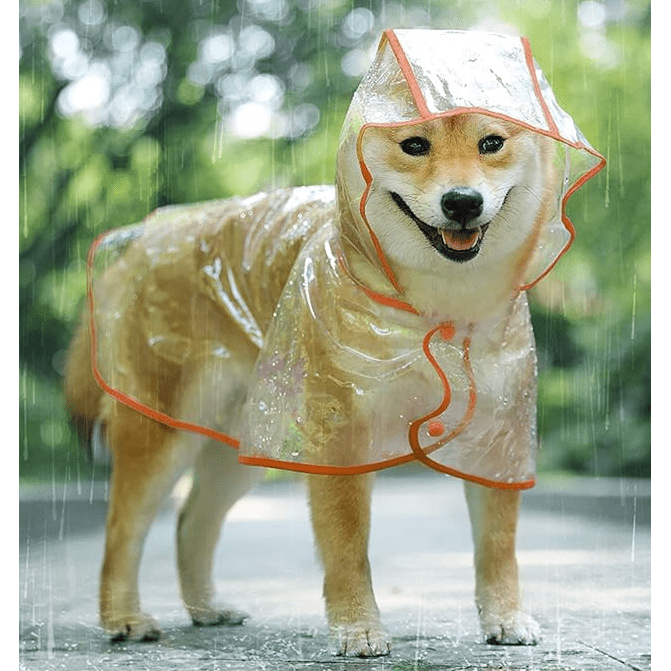 Transparent Pet Raincoat