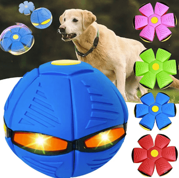 Interactive Magic Flying Saucer Pet Toy