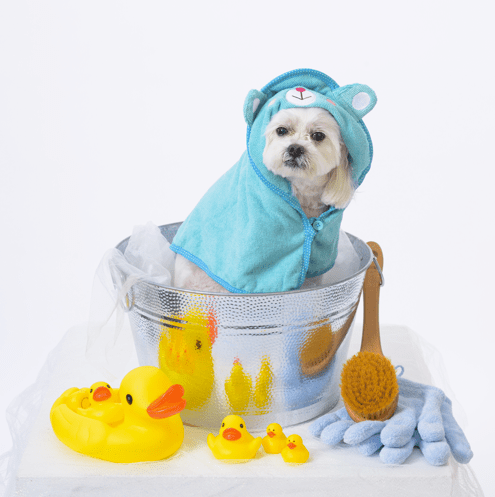 Towel for Pets - Bathing Absorbent Microfiber
