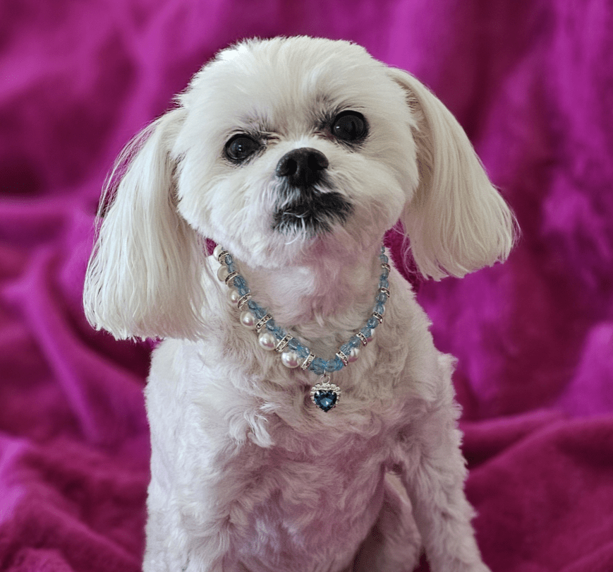 Crystal and Pearl Pet Collar Necklace for Dogs and Cats