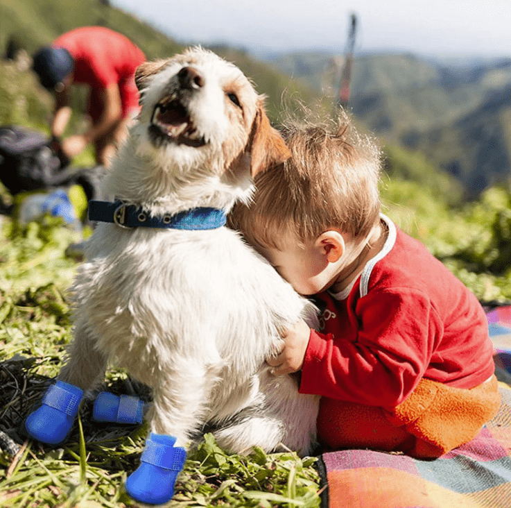 Nonslip Rain Boots for Dogs