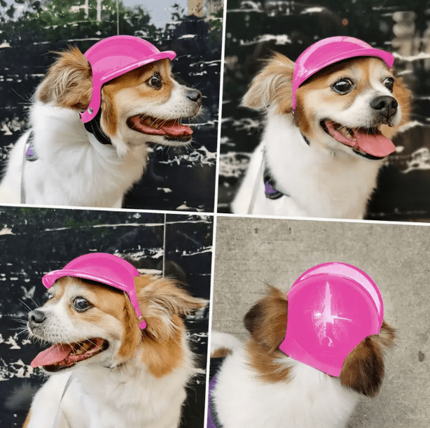 Safety Helmet for Dogs - Pink